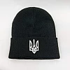 Шапка чоловіча Герб 587321 Чорна
