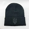Шапка чоловіча Герб 587321 Чорна