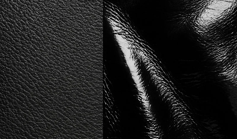 лакова шкіра та звичайна